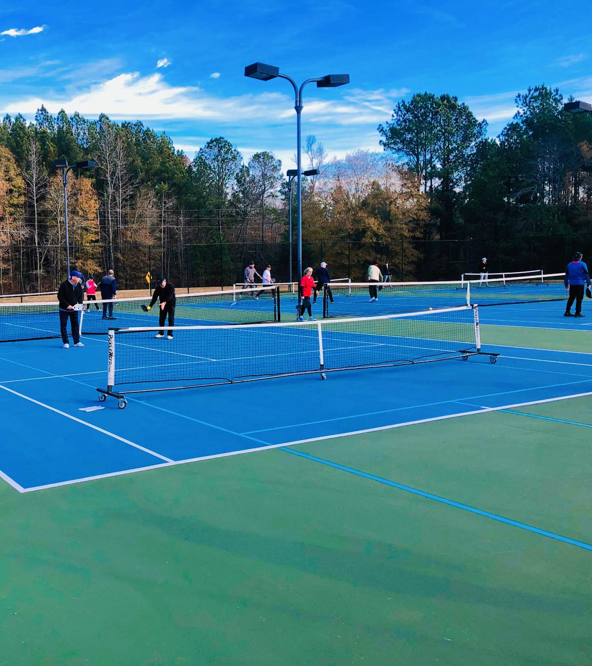 Adults Playing Pickleball